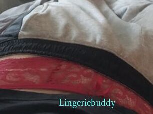 Lingeriebuddy