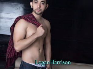 LoganHarrison xxx Fantasy Land