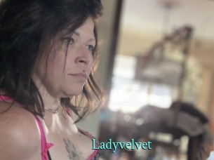 Ladyvelvet