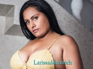 Larissadelcotech