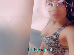 Latinbadrabbit