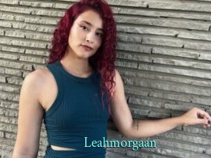 Leahmorgaan