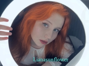 Lianasunflower