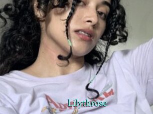 Lilythrose