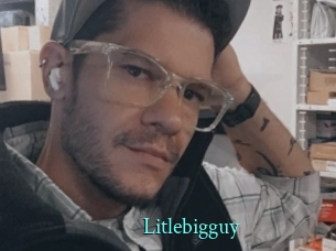 Litlebigguy