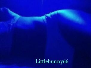 Littlebunny66