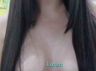 Lizcam