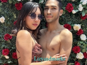 Lizyandmarks