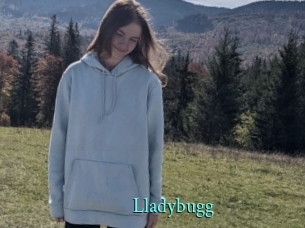 Lladybugg