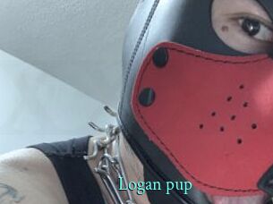 Logan_pup