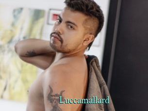 Luccamallard