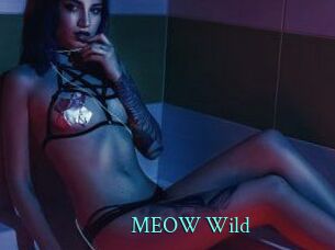 MEOW_Wild