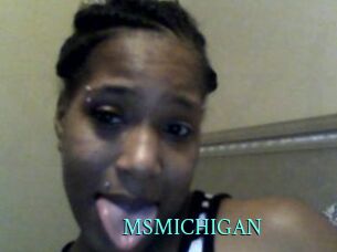 MSMICHIGAN