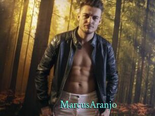 MarcusAranjo xxx Fantasy Land