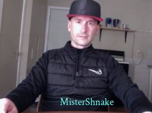 MisterShnake