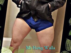 Mr_Hawg_Walla