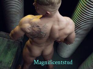 Magnificentstud