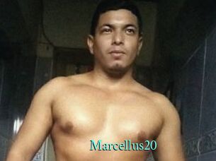 Marcellus20