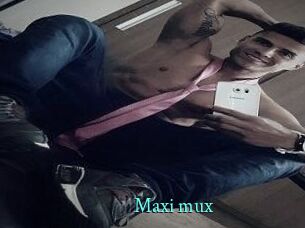 Maxi_mux