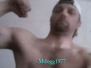 Mdogg1977