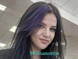 mellisamorton xxx Fantasy Land