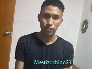 Mestizochino23