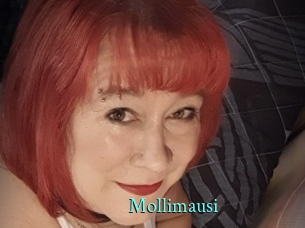 Mollimausi