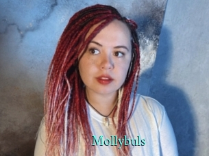 Mollybuls