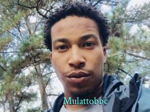 mulattobbc xxx Fantasy Land