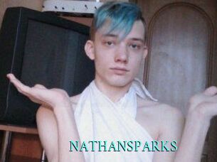 NATHAN_SPARKS