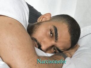 Narcisonefer