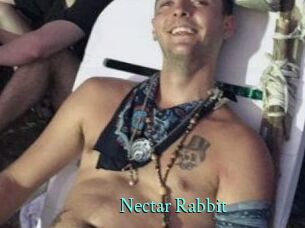 Nectar_Rabbit