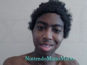 NintendoMarioMario