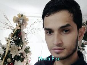 Noah_Fox_