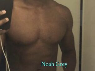 Noah_Grey