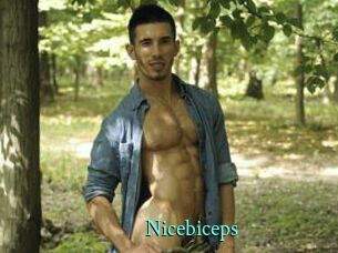 Nicebiceps