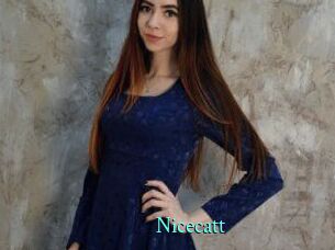 Nicecatt