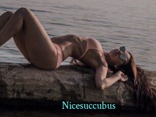 Nicesuccubus