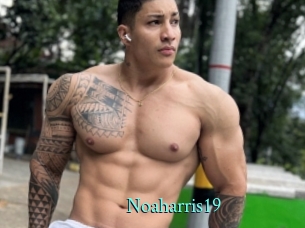 Noaharris19