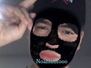 Noahsihnooo