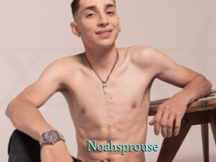 Noahsprouse