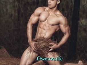 Owenwolfe