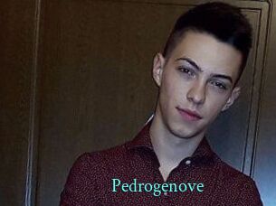 Pedrogenove