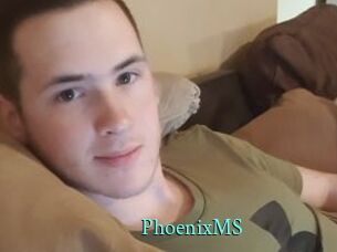 PhoenixMS