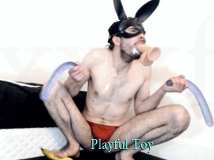 Playful_Toy