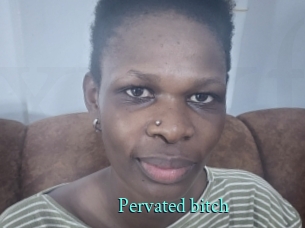 Pervated_bitch