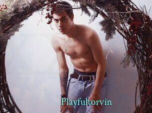 playfultorvin xxx Fantasy Land
