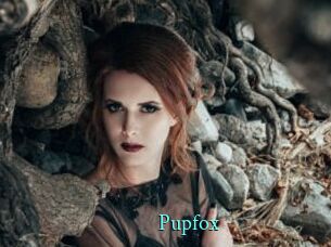 pupfox xxx Fantasy Land