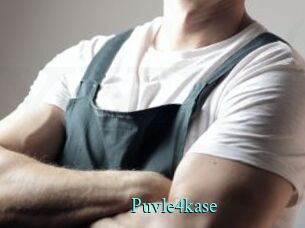 puvle4kase xxx Fantasy Land