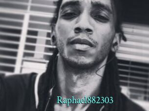Raphael882303